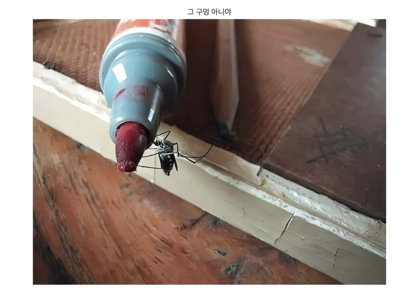 스크린샷 2025-10-03 오전 8.05.04.png
