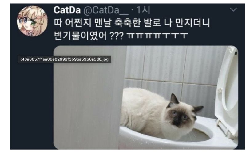 스크린샷 2025-10-09 오전 5.30.52.png
