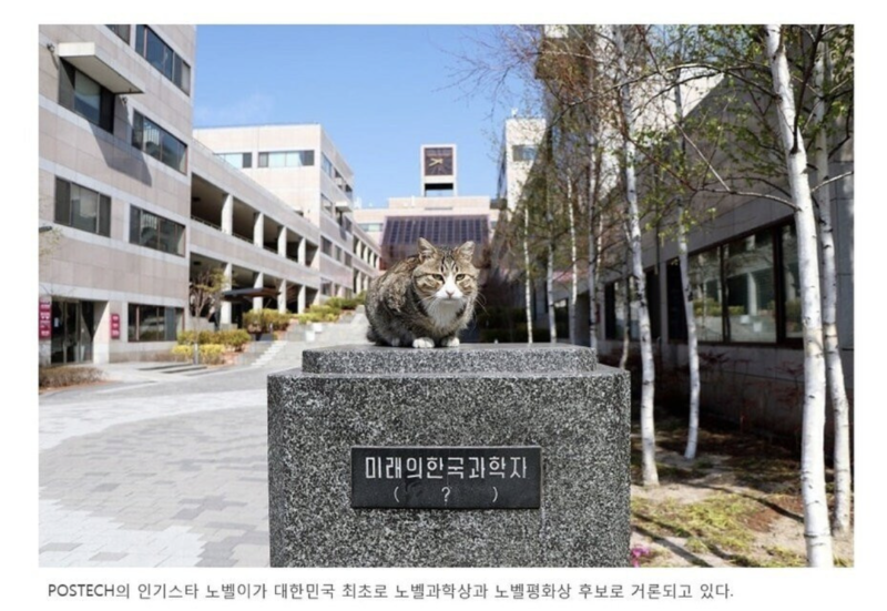 스크린샷 2025-10-11 오후 8.04.05.png