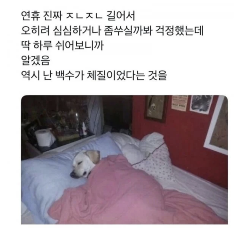 스크린샷 2025-10-11 오후 8.23.48.png