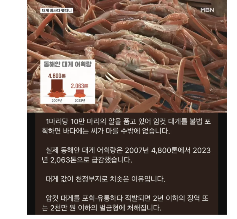 스크린샷 2025-10-11 오후 8.24.39.png
