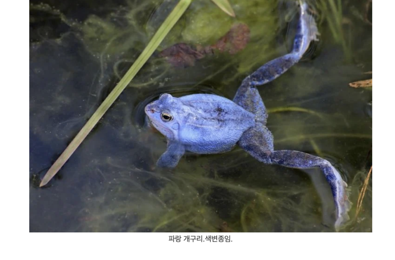 스크린샷 2025-10-11 오후 8.38.54.png