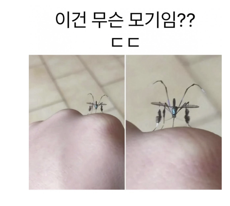 스크린샷 2025-10-11 오후 8.46.45.png