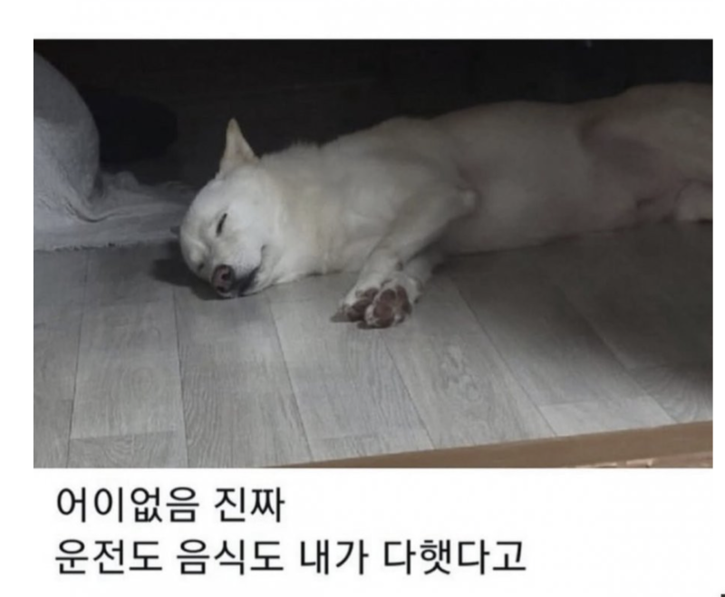 스크린샷 2025-10-12 오후 9.39.23.png