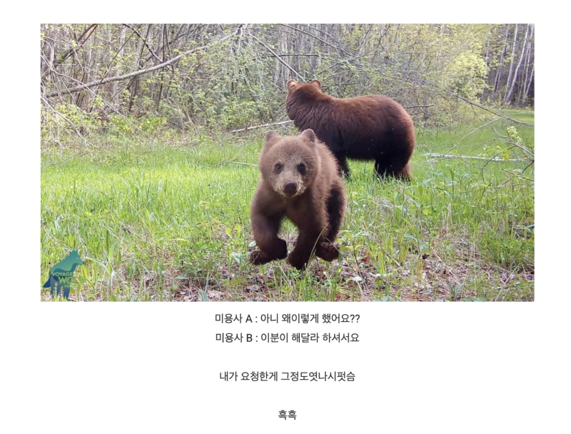 스크린샷 2025-10-13 오후 10.19.55.png