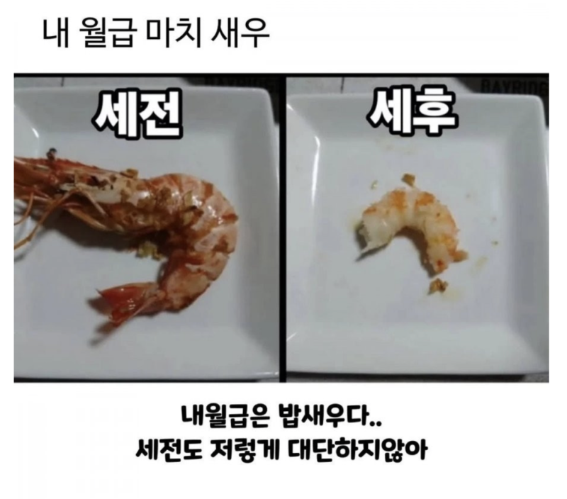 스크린샷 2025-10-23 오전 6.13.30.png