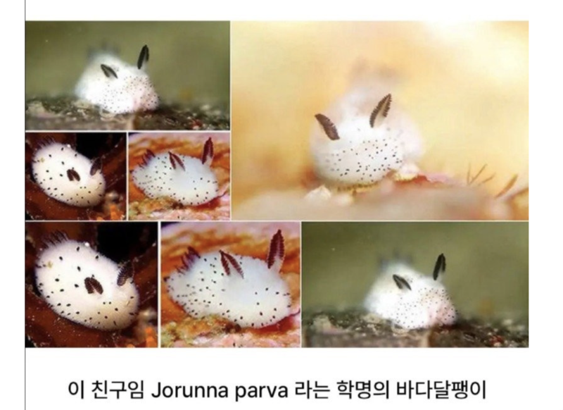스크린샷 2025-10-26 오후 8.17.47.png
