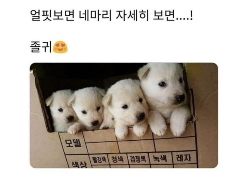 스크린샷 2025-10-27 오후 9.32.01.png