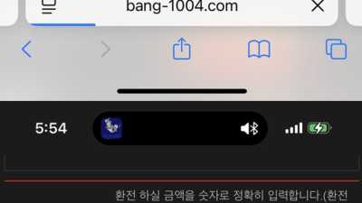 뱅뱅 먹튀 확정