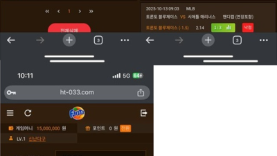 환타 먹튀 확정