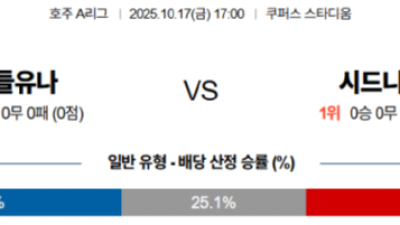 10월 17일 호주A리그 2경기