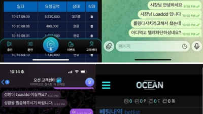 오션벳 먹튀 확정