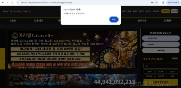 카니발.jpg