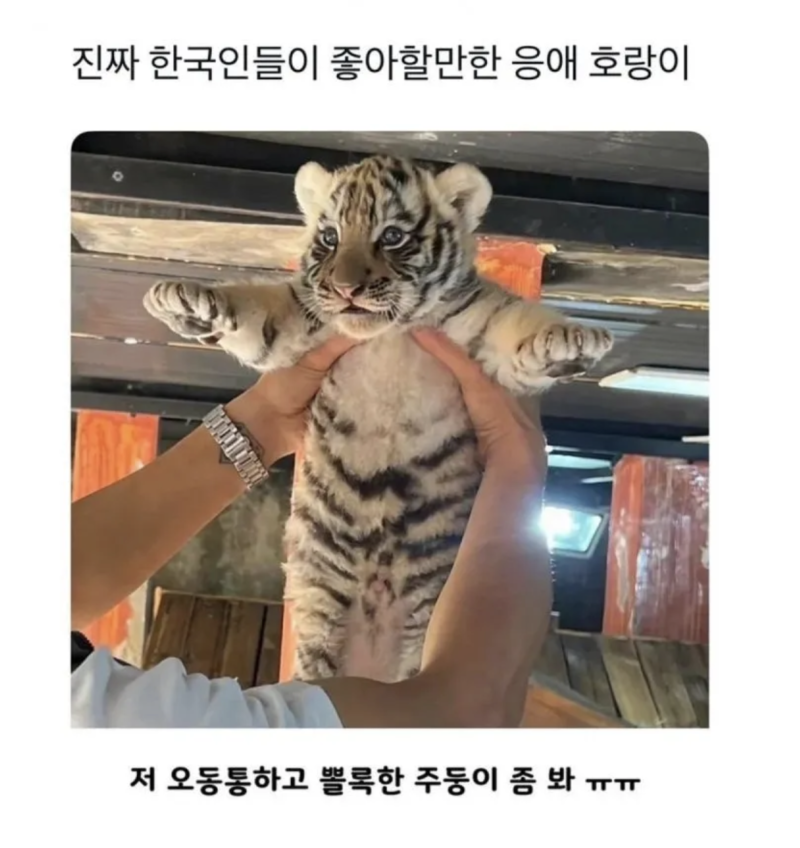 스크린샷 2025-10-27 오후 9.52.54.png