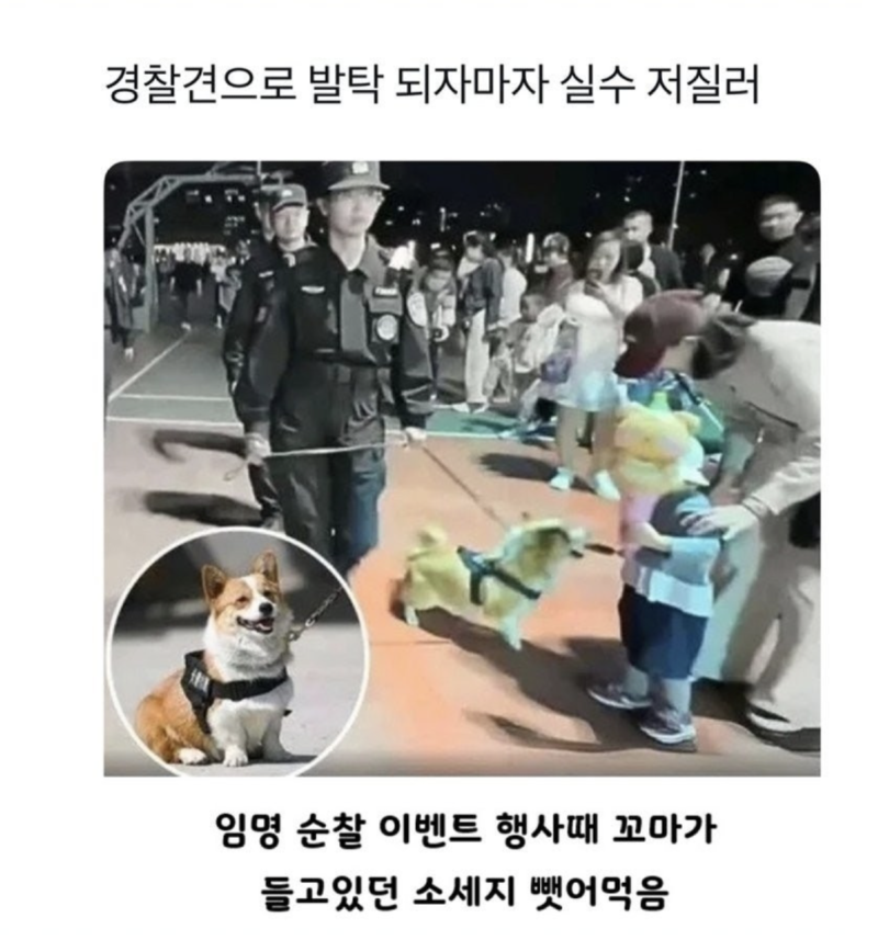 스크린샷 2025-10-29 오후 10.25.10.png
