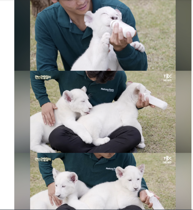 스크린샷 2025-10-29 오후 10.30.33.png