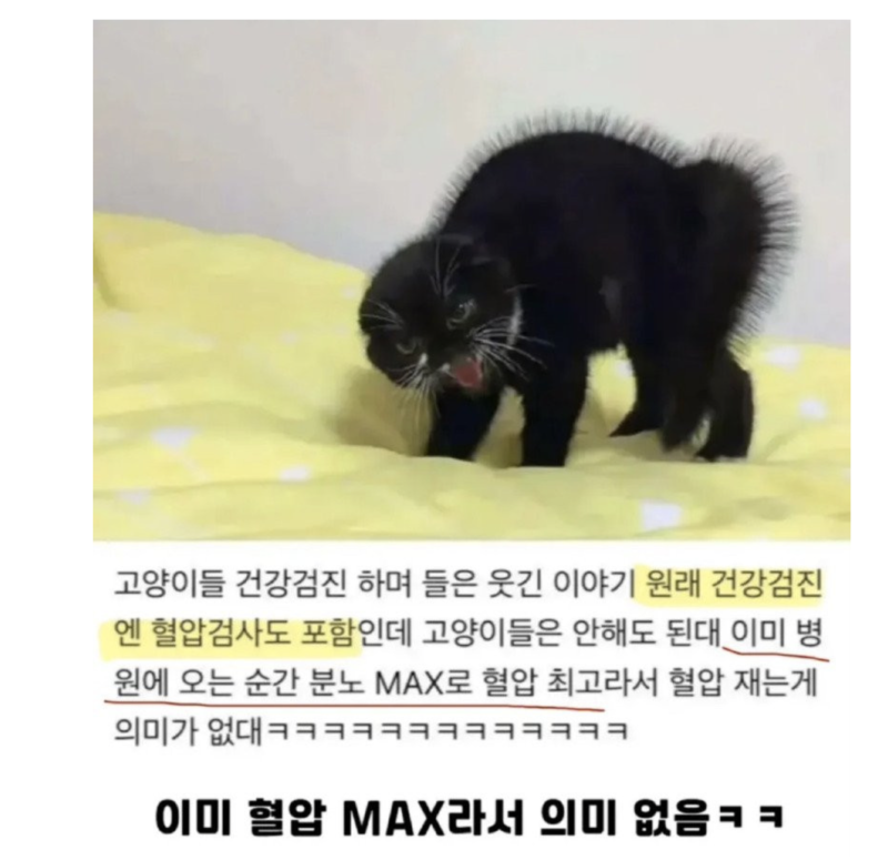 스크린샷 2025-10-30 오후 5.58.43.png