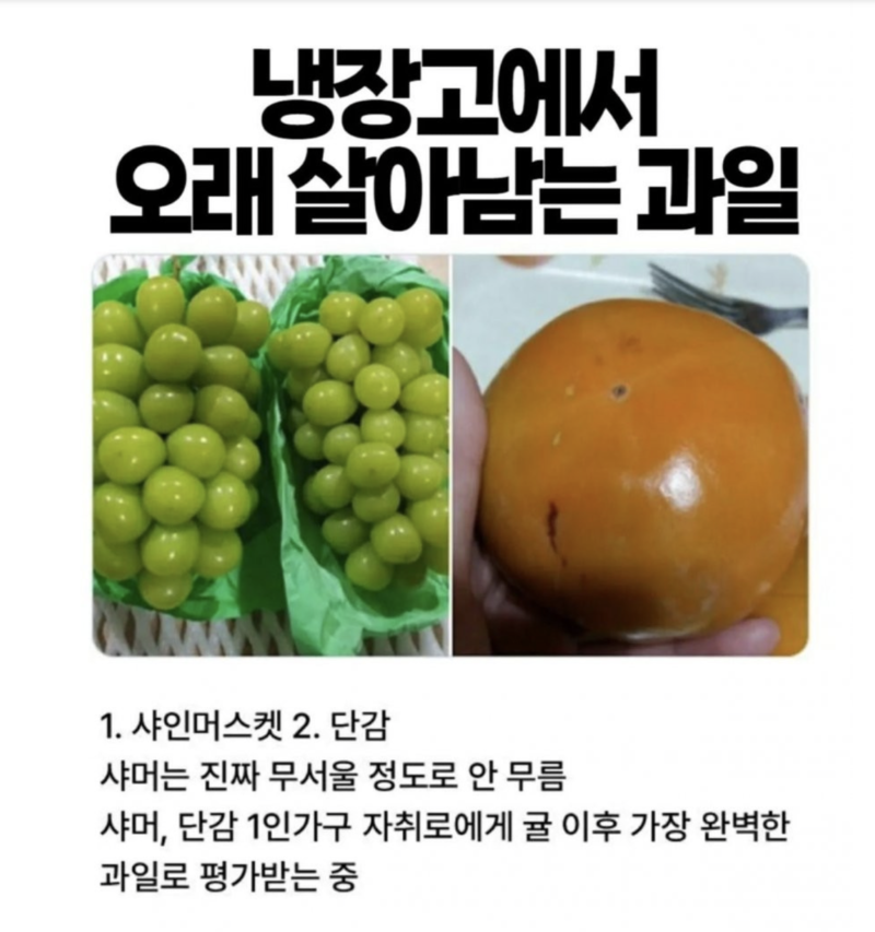스크린샷 2025-11-04 오후 10.58.17.png
