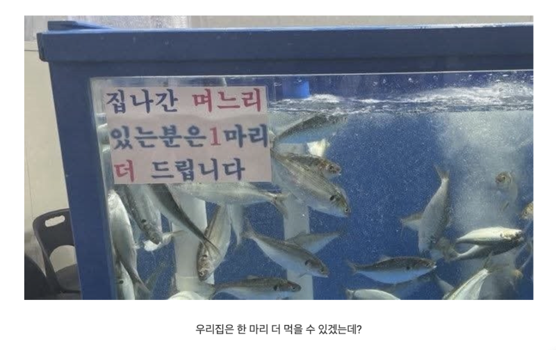 스크린샷 2025-11-04 오후 11.21.48.png