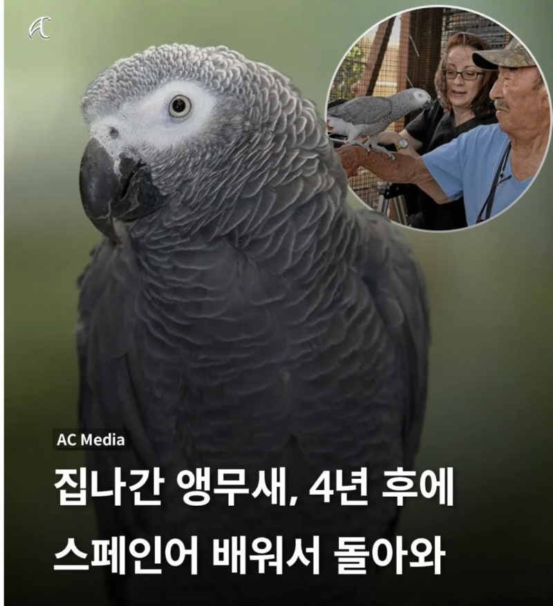 스크린샷 2025-11-04 오후 11.33.12.png