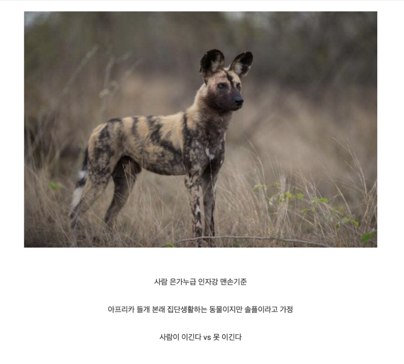 스크린샷 2025-11-17 오후 8.06.50.png