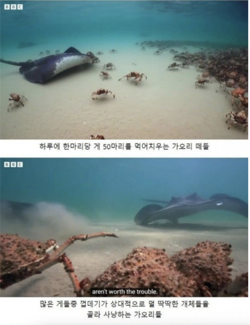 스크린샷 2025-11-19 오후 7.26.49.png