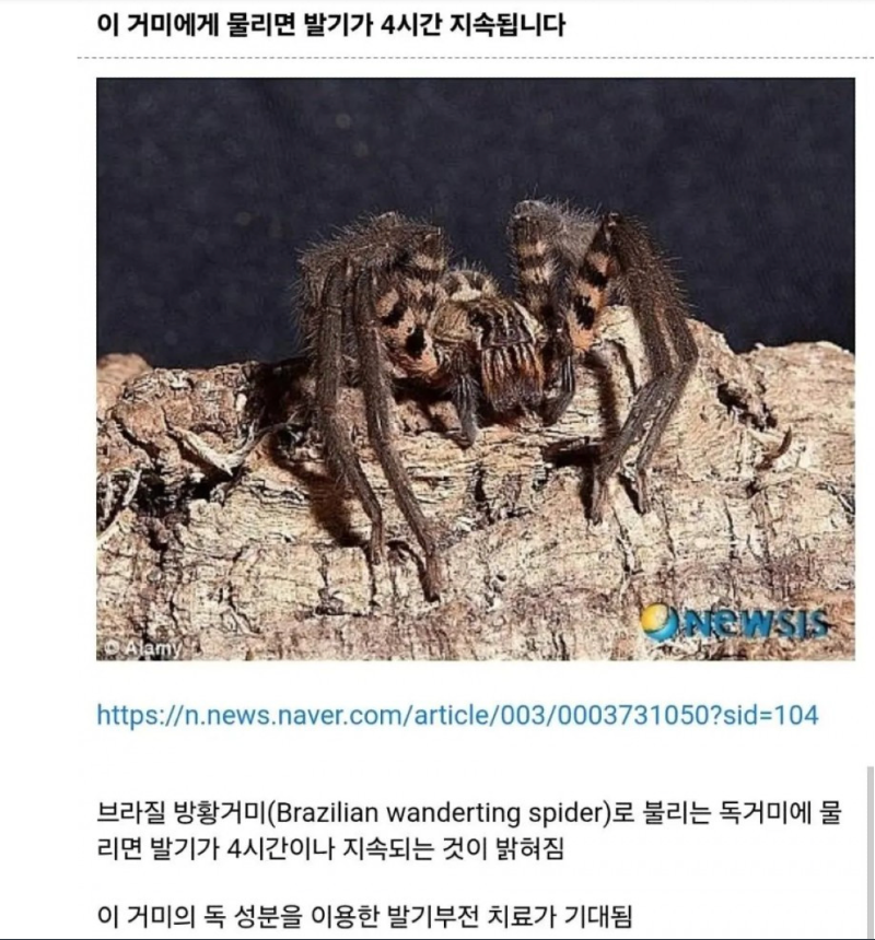 스크린샷 2025-11-25 오후 7.08.33.png