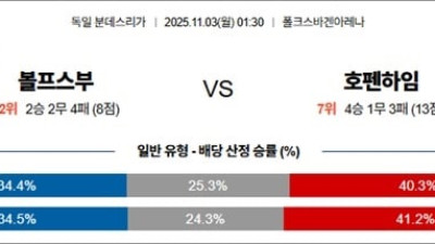 11월 3일 분데스리가 1경기
