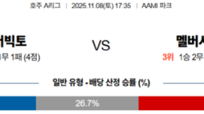 11월 8일 호주A리그 1경기