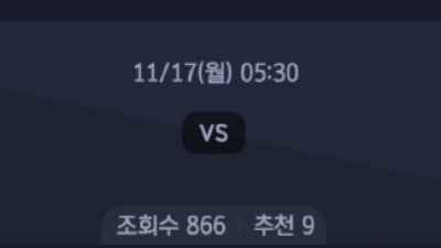 11월17일 NBA 8경기