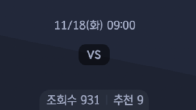 11월18일 NBA 8경기