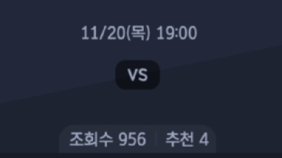 11월 20일 V 리그 남자 1경기