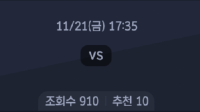 11월 21일 호주 A-리그 1경기