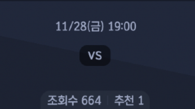 11월 28일 V리그 여자 1경기