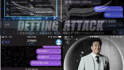 접속 먹튀 확정