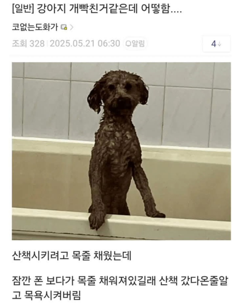 스크린샷 2025-12-04 오후 7.32.36.png