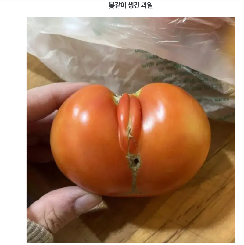 스크린샷 2025-12-07 오후 6.35.54.png