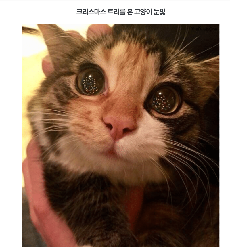 스크린샷 2025-12-07 오후 6.36.53.png
