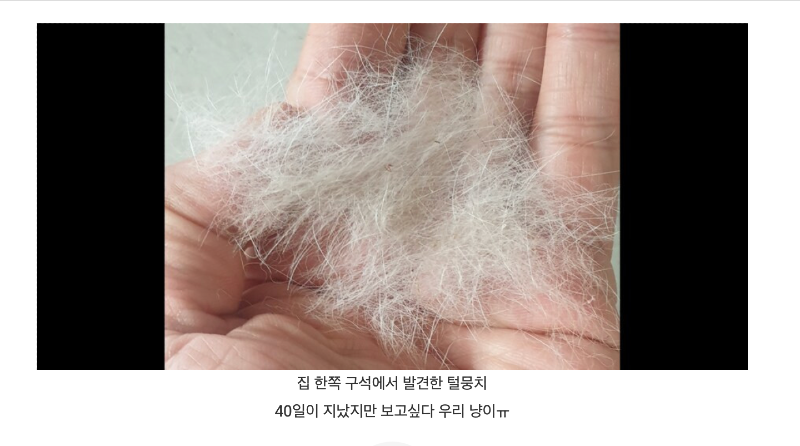 스크린샷 2025-12-09 오후 6.20.28.png