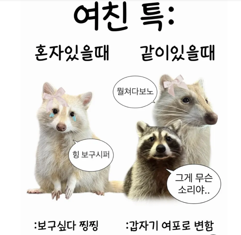스크린샷 2025-12-10 오후 6.18.40.png