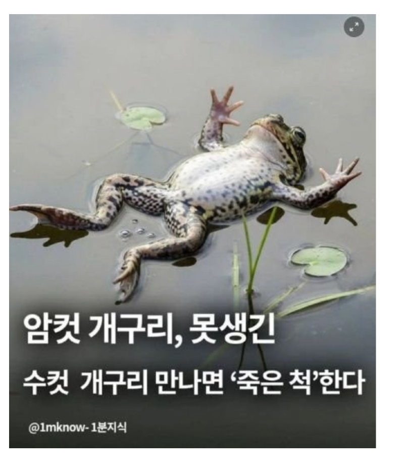 스크린샷 2025-12-10 오후 6.25.07.png