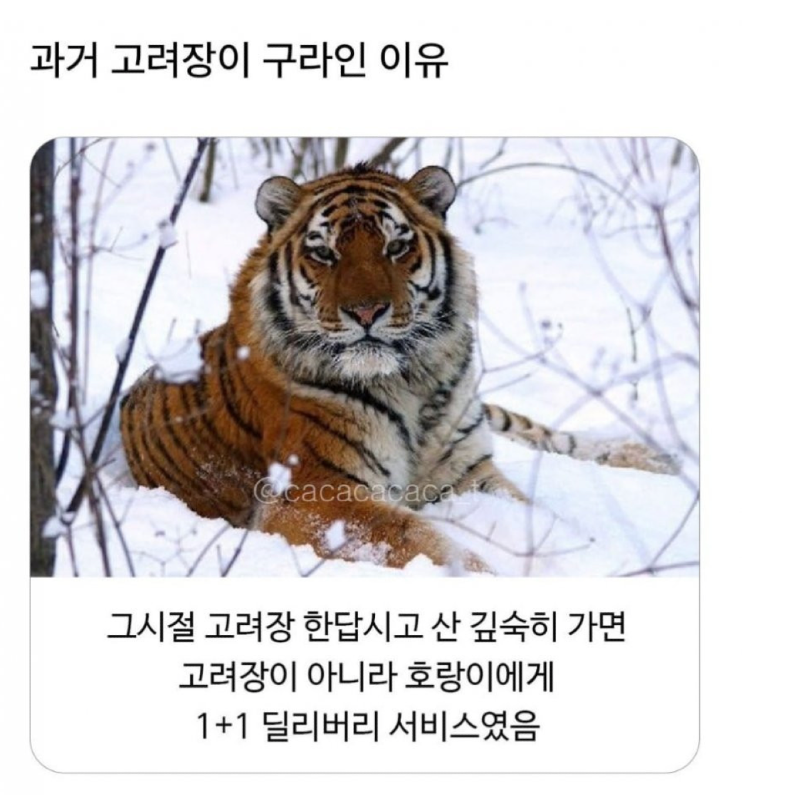 스크린샷 2025-12-11 오후 7.14.59.png