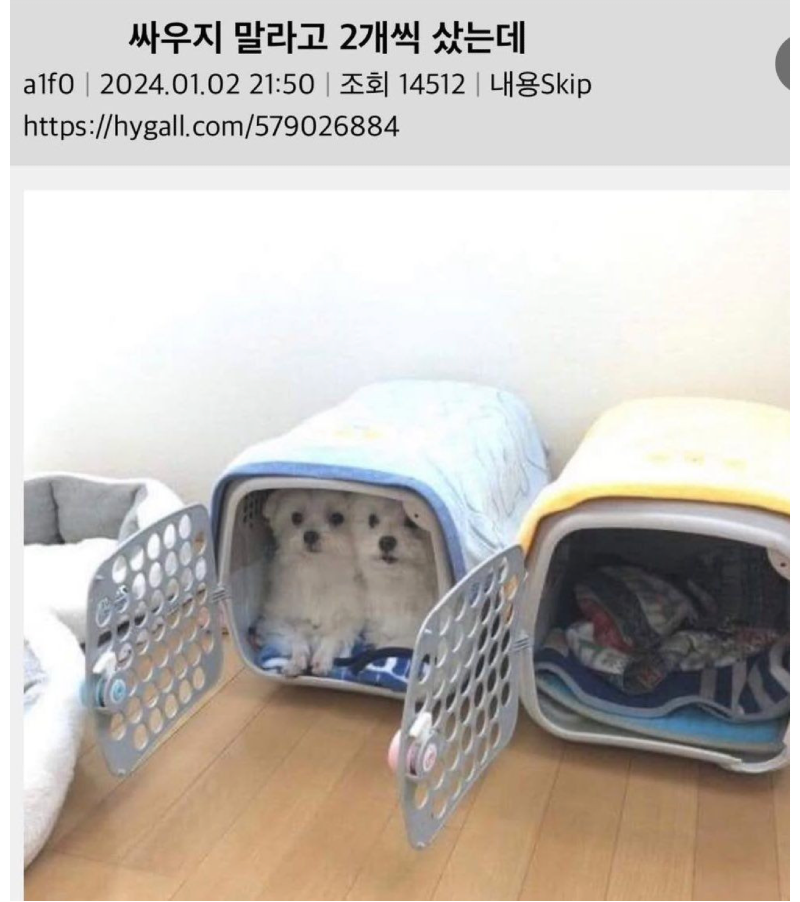 스크린샷 2025-12-14 오후 6.41.22.png