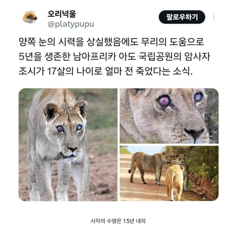 스크린샷 2025-12-14 오후 6.47.56.png