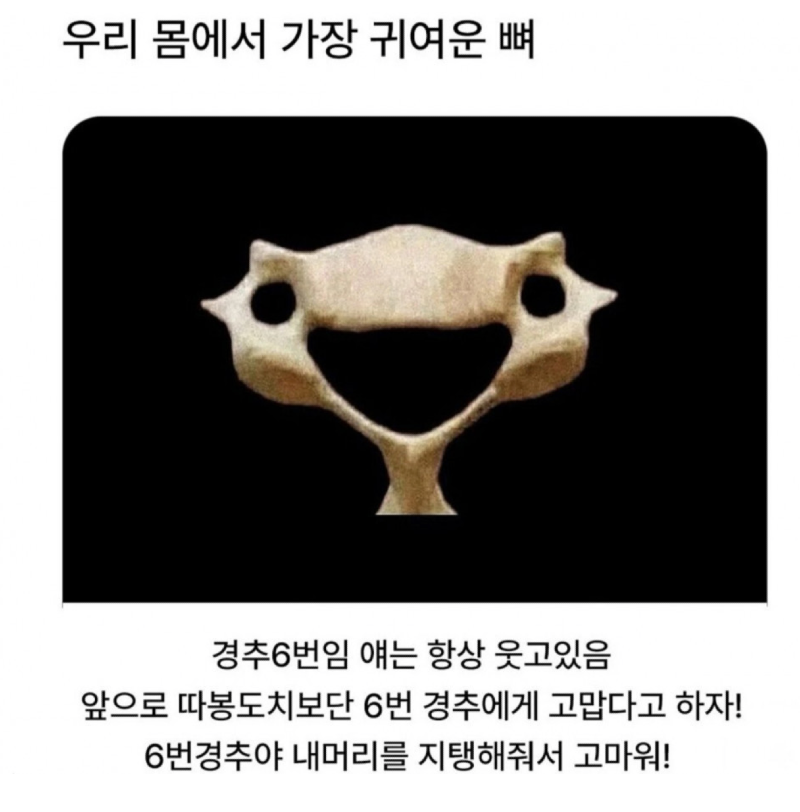 스크린샷 2025-12-15 오후 6.15.25.png