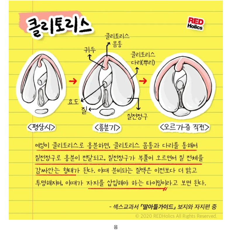 스크린샷 2025-12-16 오전 4.34.08.png