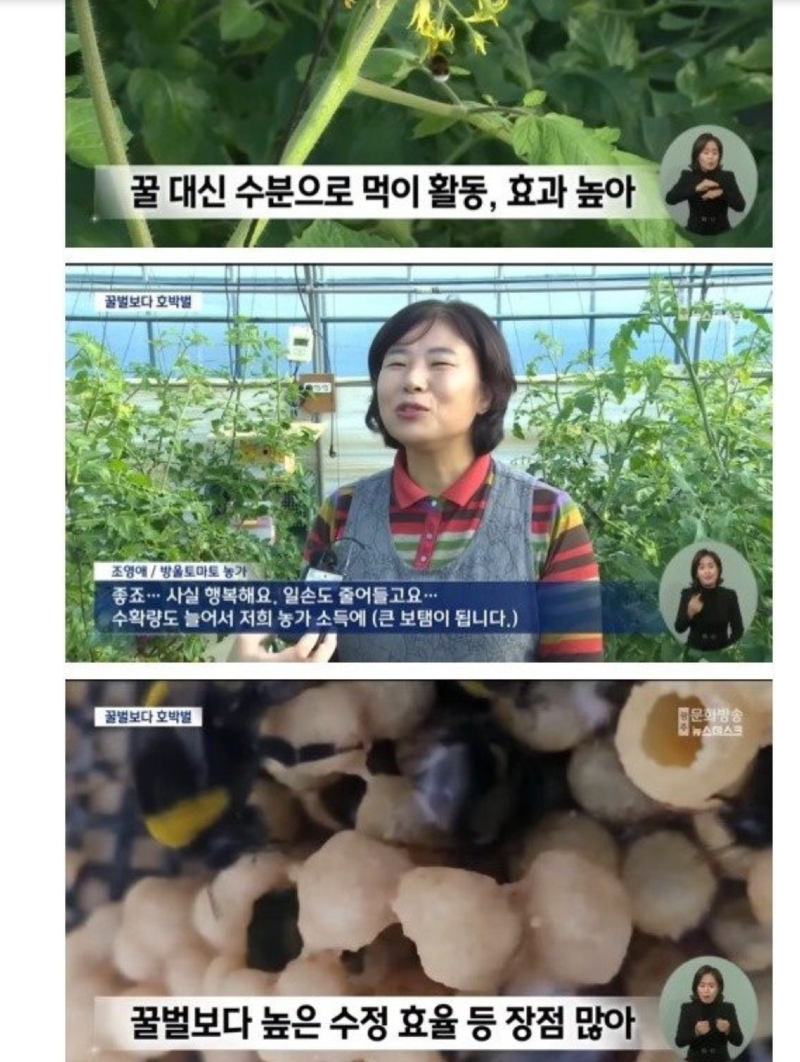 스크린샷 2025-12-16 오전 4.35.43.png