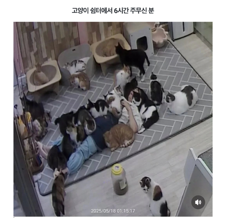 스크린샷 2025-12-21 오후 9.31.05.png