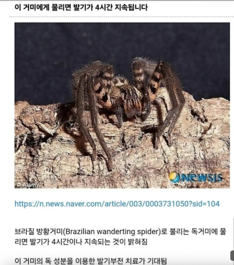 스크린샷 2025-12-22 오후 10.34.40.png