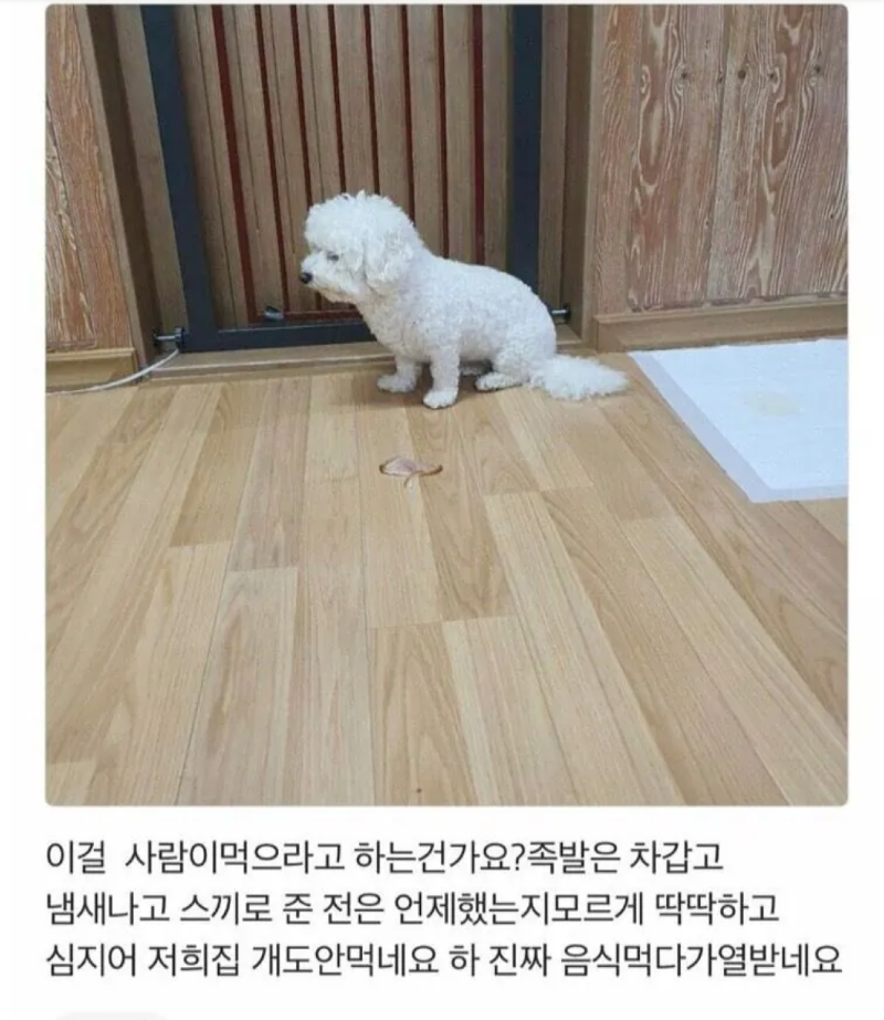 스크린샷 2025-12-28 오전 5.07.42.png